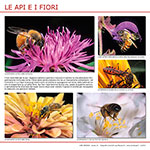 Le api e i fiori