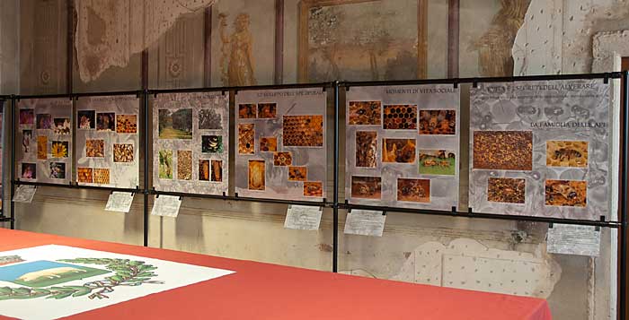 La mostra "vita e segreti dell'alveare" esposta a Villa Polettini