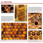 Il polline