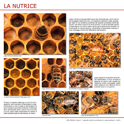 La nutrice