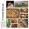 "I poster del mondo delle api"