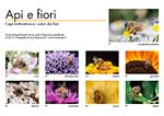 Le api e i fiori 