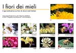 I fiori dei mieli 