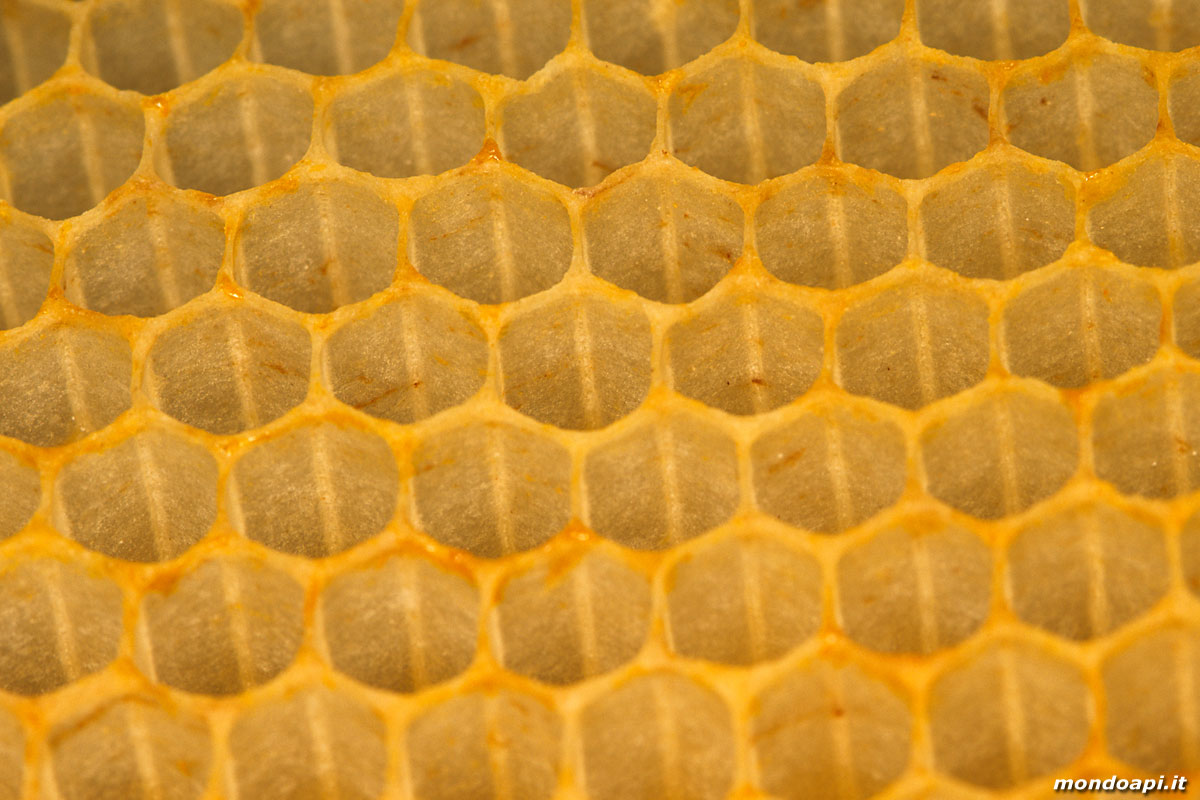 la geometria delle cellette del favo