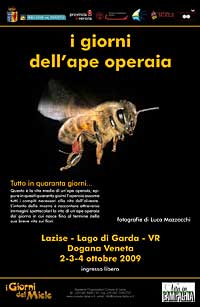 locandina
