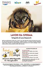 locandina