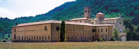 L'ape fattore di sviluppo economico 