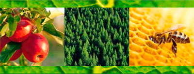 FESTA DELLA BIODIVERSITA' 