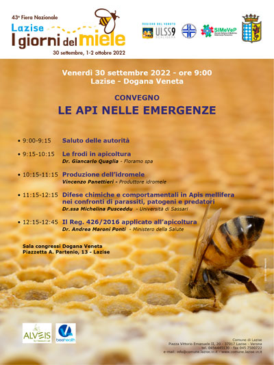Locandina convegno Api nelle emergenze