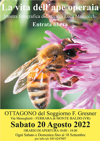 Locandina 20 agosto