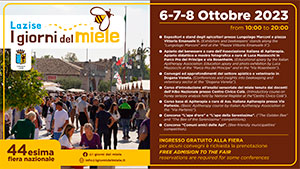 Locandina Lazise 2023