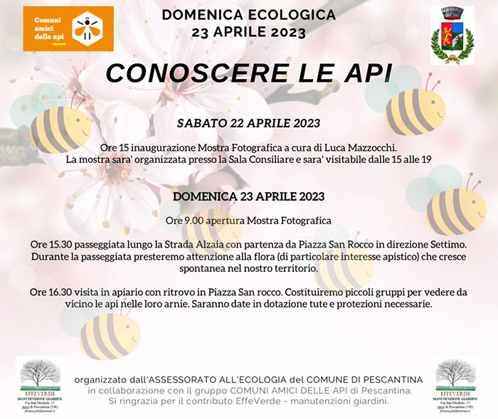 Conoscere le api 