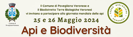 Api e biodiversit&agrave; 