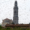 2025 Settimo di Pescantina