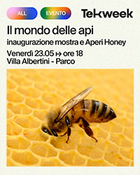 Il mondo delle api
