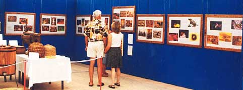 la mostra esposta a Lazise
