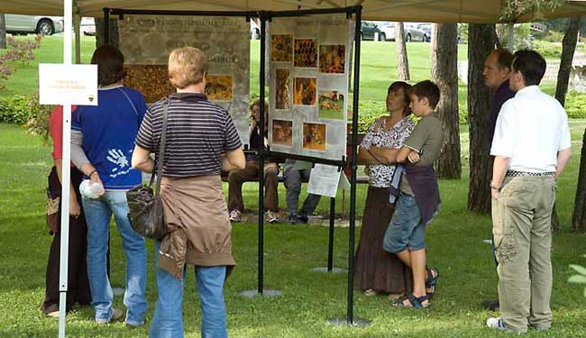Esposizione della mostra "Vita e segreti dell'alveare" nel parco delle terme