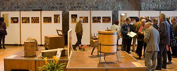 Esposizione della mostra in Dogana Veneta