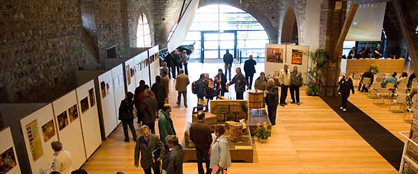 Esposizione della mostra in Dogana Veneta