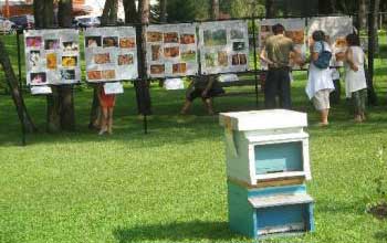 Esposizione della mostra "Vita e segreti dell'alveare" nel parco delle terme