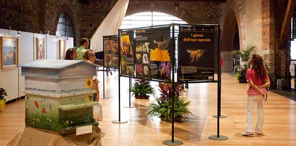 Esposizione della mostra in Dogana Veneta