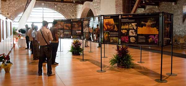 Esposizione della mostra in Dogana Veneta