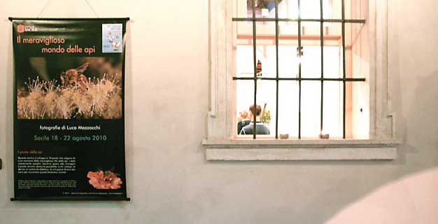 La locandina della mostra (foto: Prosacile)