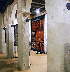I poster esposti a Sacile (foto: Prosacile)