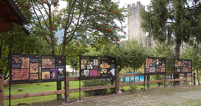 I pannelli "DAL NETTARE AL MIELE" esposti a Castel Belfort