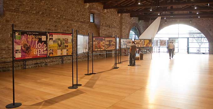 Esposizione della mostra in Dogana Veneta