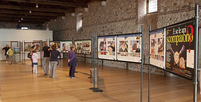 Esposizione della mostra in Dogana Veneta