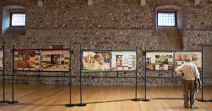 Esposizione della mostra in Dogana Veneta