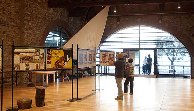 Esposizione della mostra in Dogana Veneta