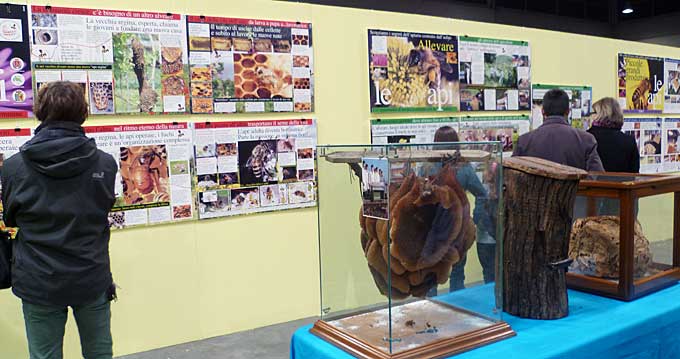 Esposizione della mostra alla fiera di Verona