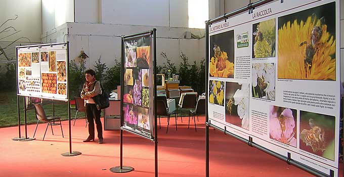 esposizione alla fiera di Montichiari