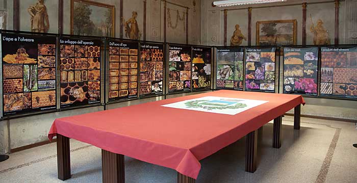 I poster delle api esposti a Villa Polettini