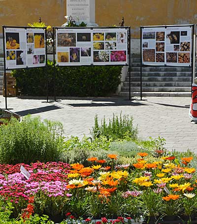 Esposizione in piazza a Bussolengo.