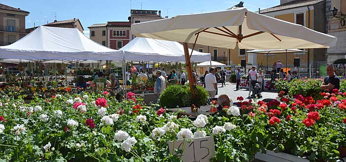 Uno scorcio della piazza durante la manifestazione "fiori in festa".