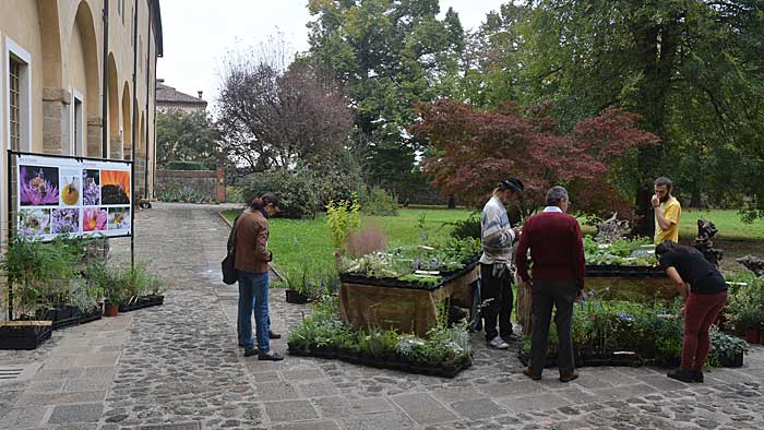 Piante aromatiche e officinali nel cortile del monastero.