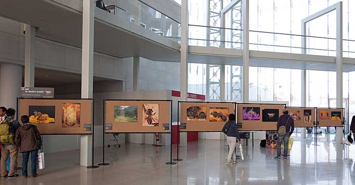 la mostra a Montichiari