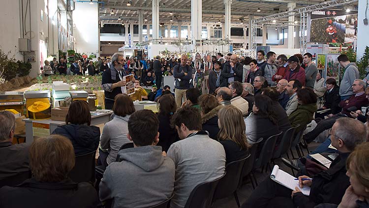 La lezione di apicoltura tenuta da Alessandro Pistoia.
