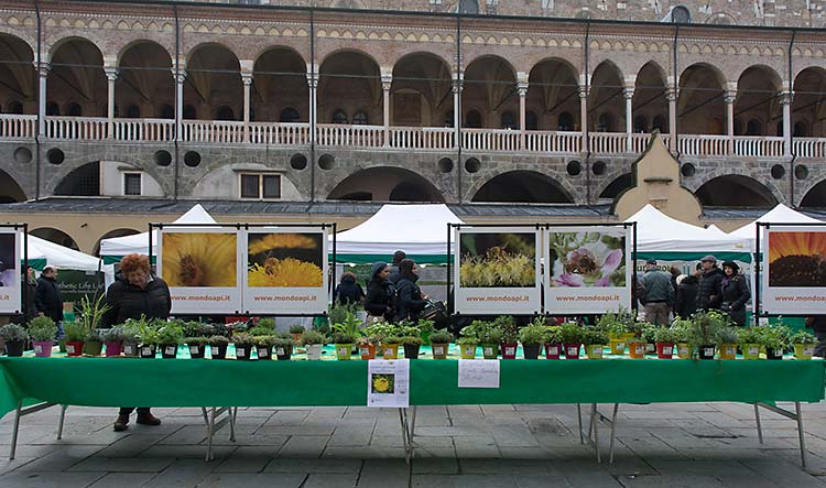 L'esposizione delle erbe aromatiche curata dall'Accademia Officinale Veneta.
