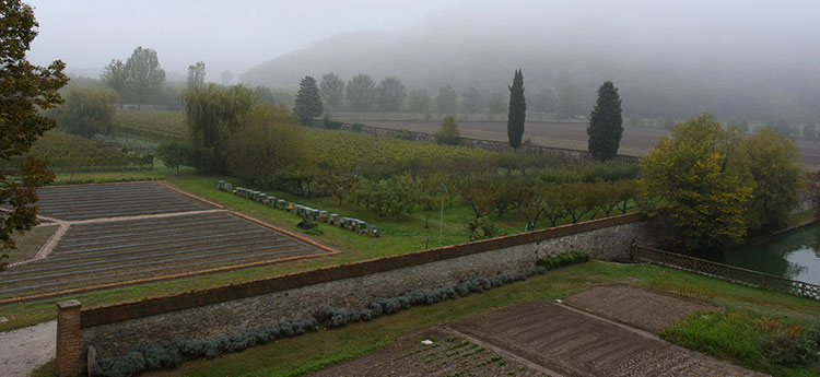 L'apiario del monastero.