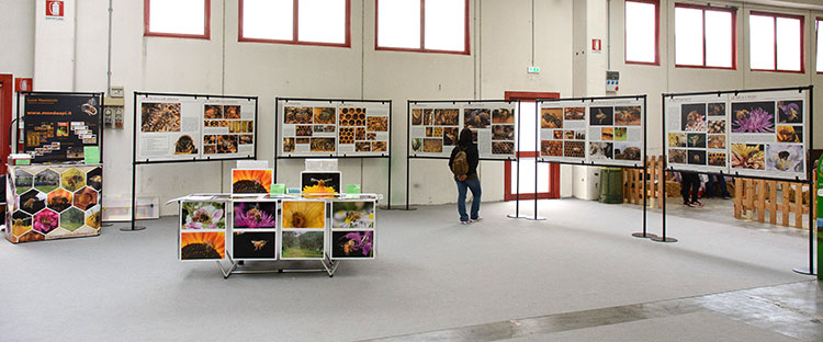 Esposizione del percorso fotografico "La vita dell'ape operaia" all'interno della fiera.