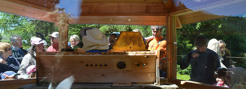 La camera di volo