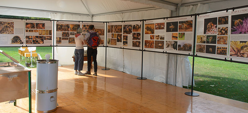 Mostra ape operaia