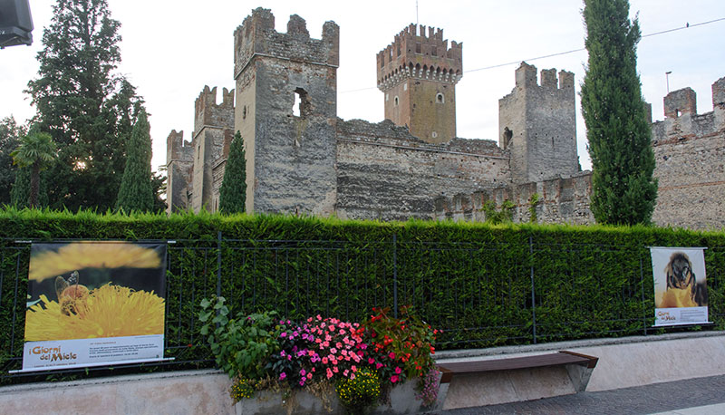 Lazise