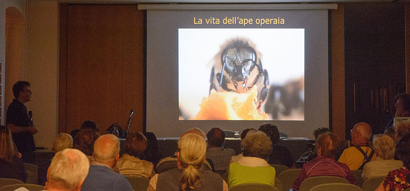 La proiezione sulle api