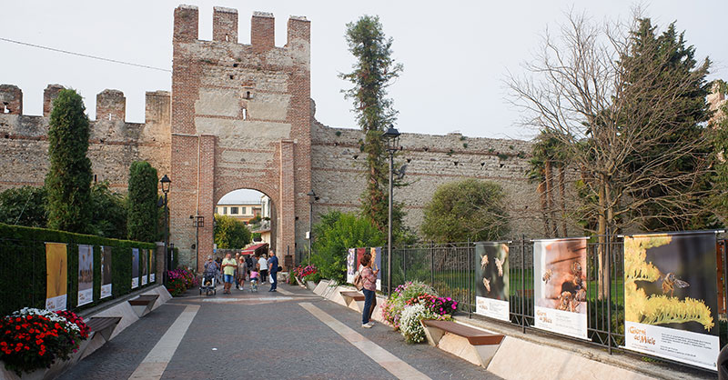 Lazise