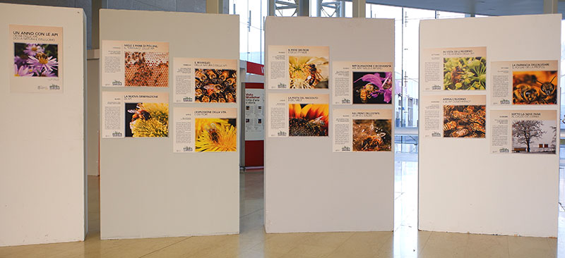 Mostra calendario